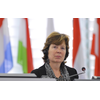 Diana Wallis chairing plenary
