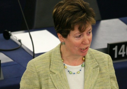 Diana Wallis: Her Role as a Member of the European Parliament and Views on Political Leadership